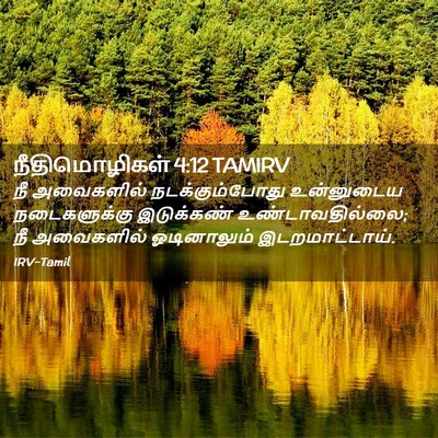 Picture 02 - நீதிமொழிகள் 4:12 TAMIRV - நீ அவைகளில் - Bible Verse Picture