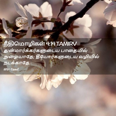 Picture 02 - நீதிமொழிகள் 4:14 TAMIRV -  - Bible Verse Picture