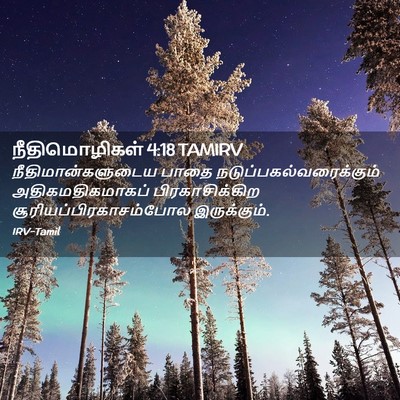 Picture 02 - நீதிமொழிகள் 4:18 TAMIRV - நீதிமான்களுடைய - Bible Verse Picture