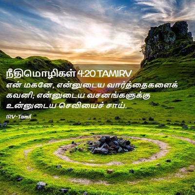Picture 02 - நீதிமொழிகள் 4:20 TAMIRV - என் மகனே, என்னுடைய - Bible Verse Picture