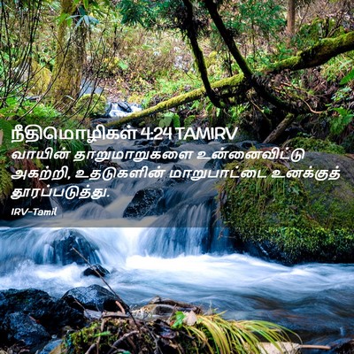 Picture 02 - நீதிமொழிகள் 4:24 TAMIRV - வாயின் - Bible Verse Picture