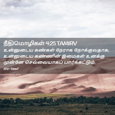 Picture 02 - நீதிமொழிகள் 4:25 TAMIRV - உன்னுடைய கண்கள் - Bible Verse Picture
