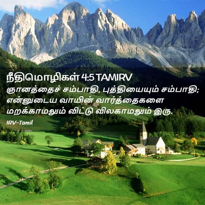 Picture 02 - நீதிமொழிகள் 4:5 TAMIRV - ஞானத்தைச் - Bible Verse Picture