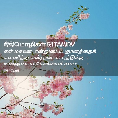 Picture 02 - நீதிமொழிகள் 5:1 TAMIRV - என் மகனே, என்னுடைய - Bible Verse Picture