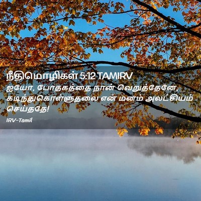 Picture 02 - நீதிமொழிகள் 5:12 TAMIRV - ஐயோ, போதகத்தை நான் - Bible Verse Picture