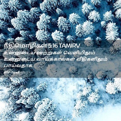 Picture 02 - நீதிமொழிகள் 5:16 TAMIRV - உன்னுடைய ஊற்றுகள் - Bible Verse Picture