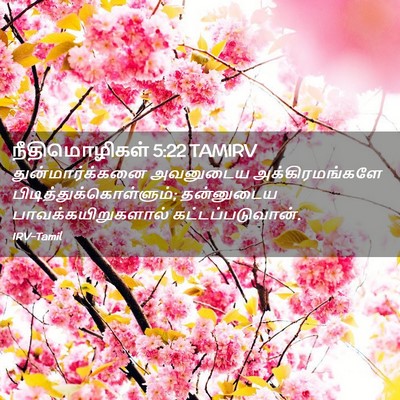 Picture 02 - நீதிமொழிகள் 5:22 TAMIRV - துன்மார்க்கனை - Bible Verse Picture