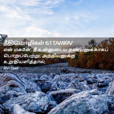 Picture 02 - நீதிமொழிகள் 6:1 TAMIRV - என் மகனே, நீ - Bible Verse Picture