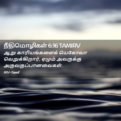 Picture 02 - நீதிமொழிகள் 6:16 TAMIRV - ஆறு காரியங்களைக் - Bible Verse Picture