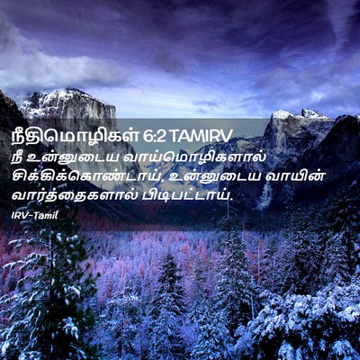 Picture 02 - நீதிமொழிகள் 6:2 TAMIRV - நீ உன்னுடைய - Bible Verse Picture