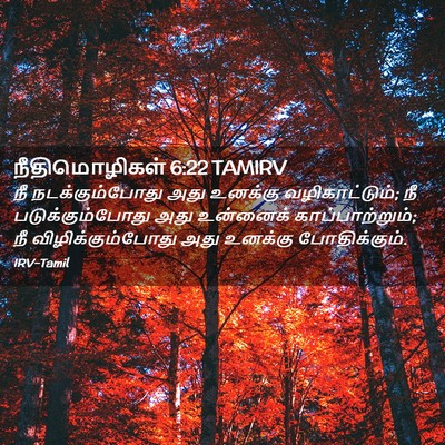 Picture 02 - நீதிமொழிகள் 6:22 TAMIRV - நீ நடக்கும்போது - Bible Verse Picture