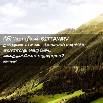 Picture 02 - நீதிமொழிகள் 6:27 TAMIRV - தன்னுடைய உடை - Bible Verse Picture