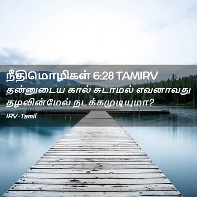 Picture 02 - நீதிமொழிகள் 6:28 TAMIRV - தன்னுடைய கால் - Bible Verse Picture