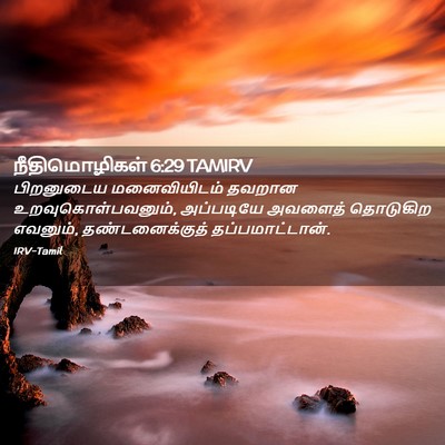 Picture 02 - நீதிமொழிகள் 6:29 TAMIRV - பிறனுடைய - Bible Verse Picture