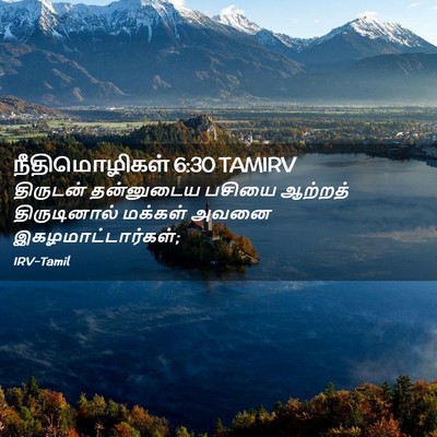 Picture 02 - நீதிமொழிகள் 6:30 TAMIRV - திருடன் தன்னுடைய - Bible Verse Picture