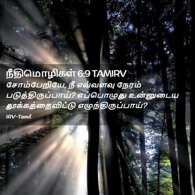 Picture 02 - நீதிமொழிகள் 6:9 TAMIRV - சோம்பேறியே, நீ - Bible Verse Picture