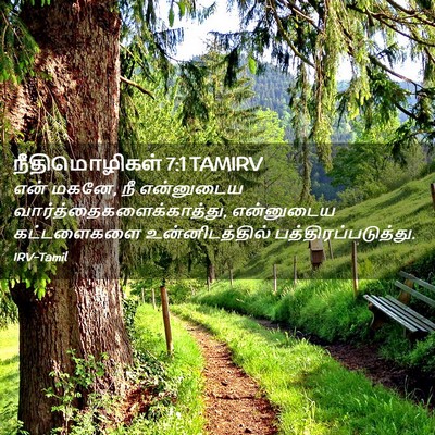 Picture 02 - நீதிமொழிகள் 7:1 TAMIRV - என் மகனே, நீ - Bible Verse Picture