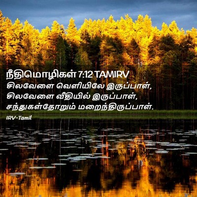 Picture 02 - நீதிமொழிகள் 7:12 TAMIRV - சிலவேளை வெளியிலே - Bible Verse Picture