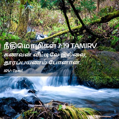 Picture 02 - நீதிமொழிகள் 7:19 TAMIRV - கணவன் வீட்டிலே - Bible Verse Picture