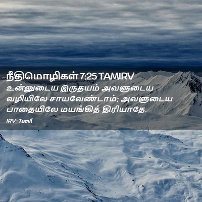 Picture 02 - நீதிமொழிகள் 7:25 TAMIRV - உன்னுடைய இருதயம் - Bible Verse Picture