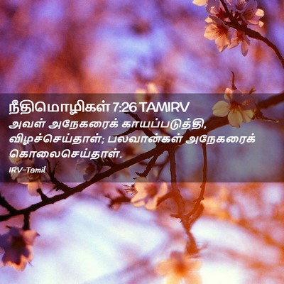 Picture 02 - நீதிமொழிகள் 7:26 TAMIRV - அவள் அநேகரைக் - Bible Verse Picture
