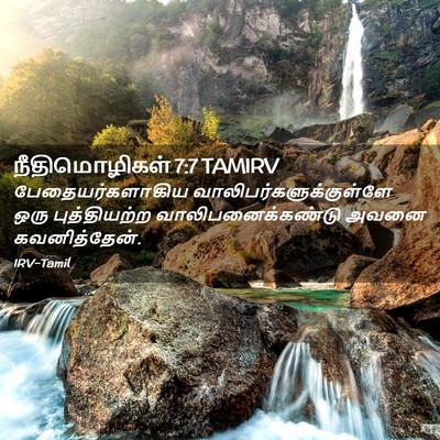 Picture 02 - நீதிமொழிகள் 7:7 TAMIRV - பேதையர்களாகிய - Bible Verse Picture