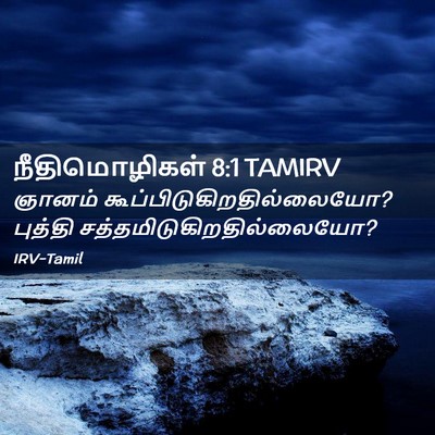 Picture 02 - நீதிமொழிகள் 8:1 TAMIRV - ஞானம் - Bible Verse Picture