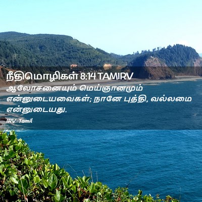 Picture 02 - நீதிமொழிகள் 8:14 TAMIRV - ஆலோசனையும் - Bible Verse Picture