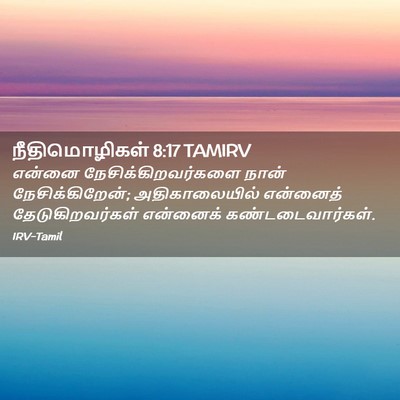 Picture 02 - நீதிமொழிகள் 8:17 TAMIRV - என்னை - Bible Verse Picture
