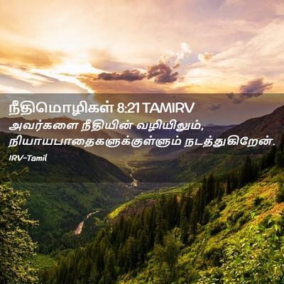 Picture 02 - நீதிமொழிகள் 8:21 TAMIRV - அவர்களை நீதியின் - Bible Verse Picture