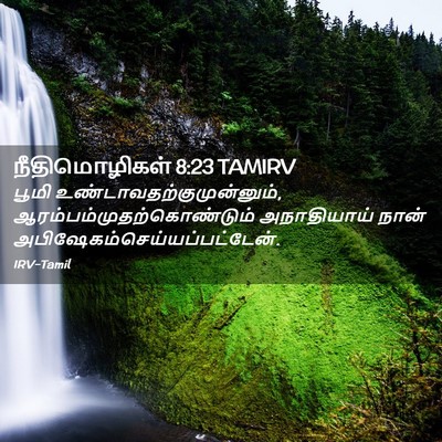 Picture 02 - நீதிமொழிகள் 8:23 TAMIRV - பூமி - Bible Verse Picture