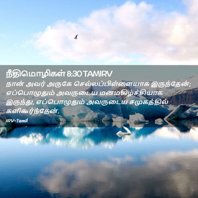 Picture 02 - நீதிமொழிகள் 8:30 TAMIRV - நான் அவர் அருகே - Bible Verse Picture