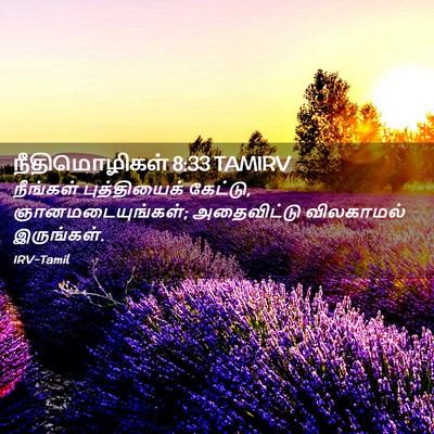 Picture 02 - நீதிமொழிகள் 8:33 TAMIRV - நீங்கள் - Bible Verse Picture