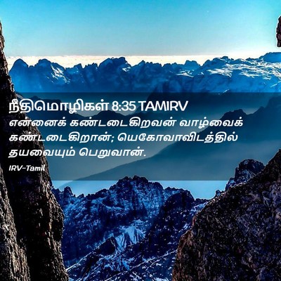 Picture 02 - நீதிமொழிகள் 8:35 TAMIRV - என்னைக் - Bible Verse Picture