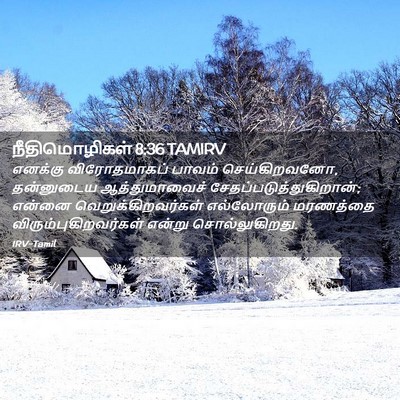 Picture 02 - நீதிமொழிகள் 8:36 TAMIRV - எனக்கு விரோதமாகப் - Bible Verse Picture