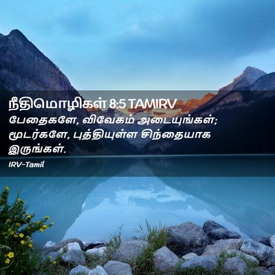 Picture 02 - நீதிமொழிகள் 8:5 TAMIRV - பேதைகளே, விவேகம் - Bible Verse Picture