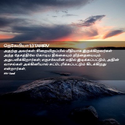 Picture 02 - நெகேமியா 1:3 TAMIRV - அதற்கு அவர்கள்: - Bible Verse Picture
