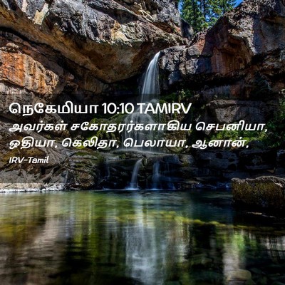 Picture 02 - நெகேமியா 10:10 TAMIRV - அவர்கள் - Bible Verse Picture