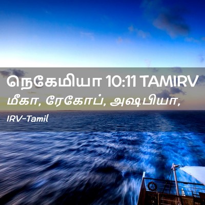 Picture 02 - நெகேமியா 10:11 TAMIRV - மீகா, ரேகோப், - Bible Verse Picture