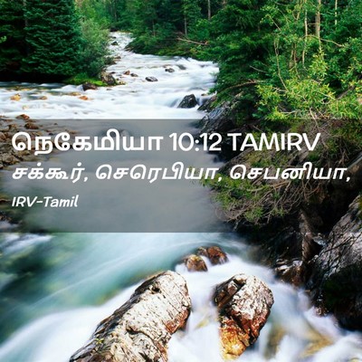Picture 02 - நெகேமியா 10:12 TAMIRV - சக்கூர், செரெபியா, - Bible Verse Picture