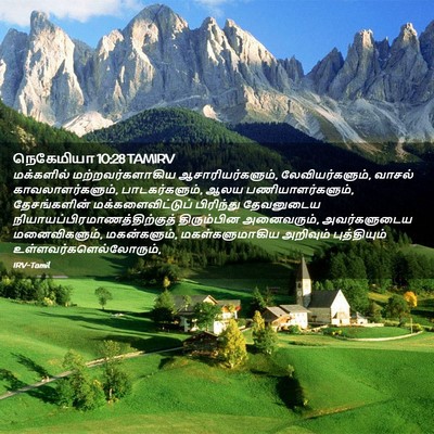 Picture 02 - நெகேமியா 10:28 TAMIRV - மக்களில் - Bible Verse Picture