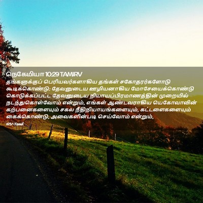 Picture 02 - நெகேமியா 10:29 TAMIRV - தங்களுக்குப் - Bible Verse Picture