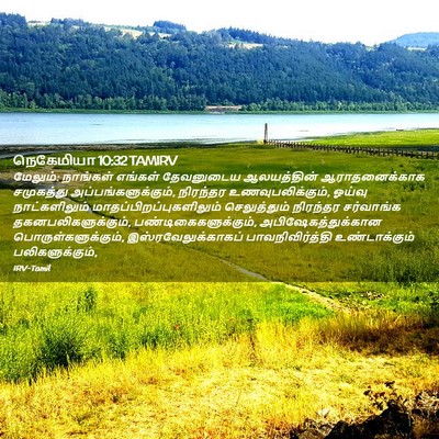 Picture 02 - நெகேமியா 10:32 TAMIRV - மேலும்: நாங்கள் - Bible Verse Picture