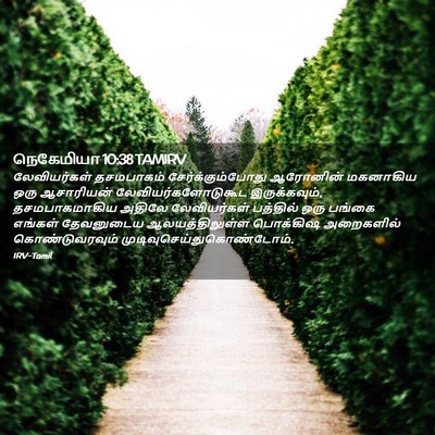 Picture 02 - நெகேமியா 10:38 TAMIRV - லேவியர்கள் - Bible Verse Picture