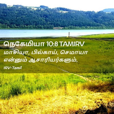 Picture 02 - நெகேமியா 10:8 TAMIRV - மாசியா, பில்காய், - Bible Verse Picture