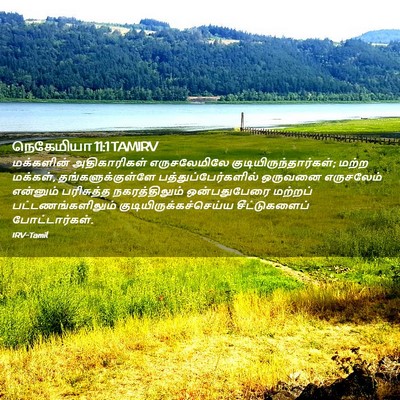 Picture 02 - நெகேமியா 11:1 TAMIRV - மக்களின் - Bible Verse Picture