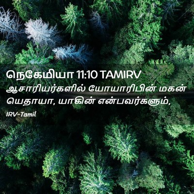 Picture 02 - நெகேமியா 11:10 TAMIRV - ஆசாரியர்களில் - Bible Verse Picture
