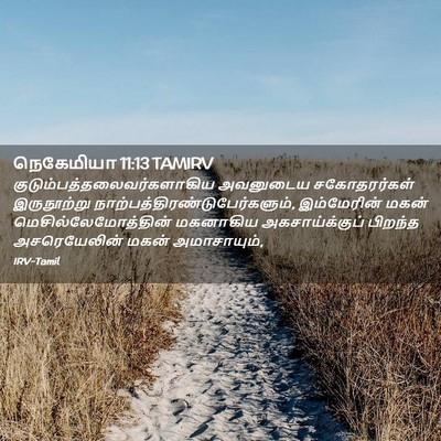 Picture 02 - நெகேமியா 11:13 TAMIRV -  - Bible Verse Picture