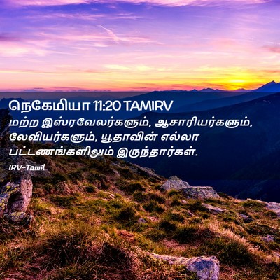 Picture 02 - நெகேமியா 11:20 TAMIRV - மற்ற - Bible Verse Picture