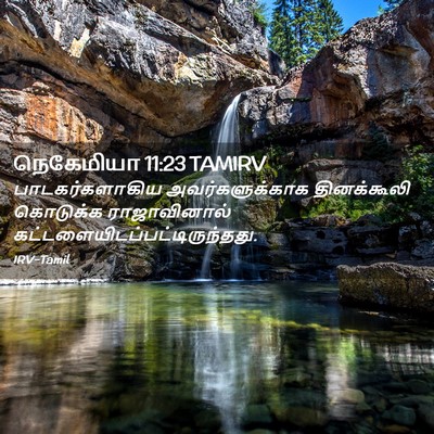Picture 02 - நெகேமியா 11:23 TAMIRV - பாடகர்களாகிய - Bible Verse Picture